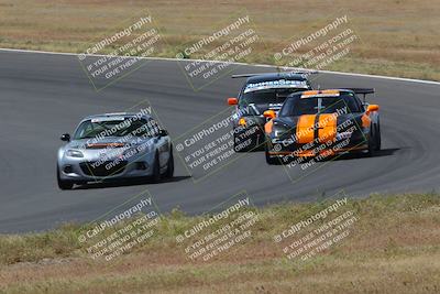 media/May-04-2024-Lucky Dog Racing (Sat) [[d39539b3f3]]/Race Pics/1015am (Turn 2)/